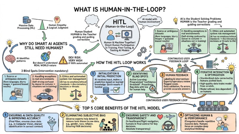 What is Human-in-the-Loop? The Role of Humans in the AI Era