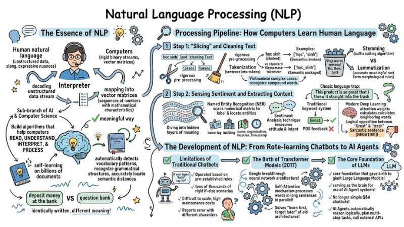 What is Natural Language Processing (NLP)? Roles and Real-world Applications